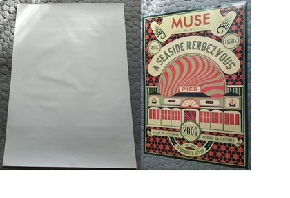 various-Original Muse poster Teignmouth2009
